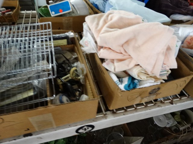 DSC04363